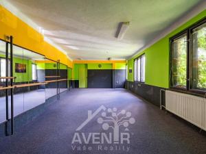 Prodej rodinného domu, Železný Brod, Jirchářská, 399 m2