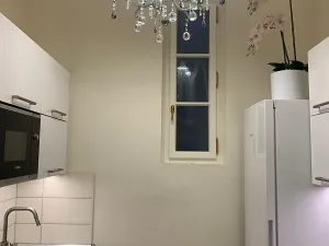 Pronájem bytu 1+1, Praha - Nové Město, V tůních, 35 m2