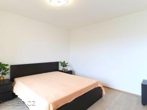 Pronájem bytu 2+kk, Praha - Holešovice, U průhonu, 60 m2