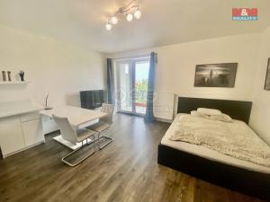 Pronájem bytu 1+kk, Ostrava, Sokolovská, 34 m2