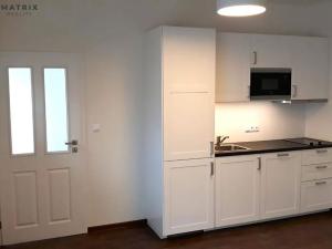 Pronájem bytu 1+kk, Praha - Libeň, Zenklova, 37 m2