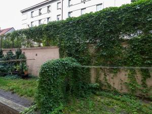 Prodej bytu 3+kk, Praha - Žižkov, Hartigova, 64 m2