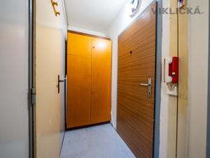 Prodej bytu 1+kk, Brno - Starý Lískovec, Irkutská, 31 m2