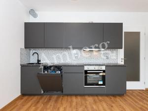 Pronájem bytu 1+kk, Praha - Žižkov, Olgy Havlové, 34 m2
