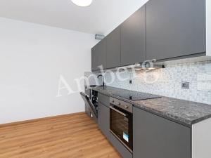 Pronájem bytu 1+kk, Praha - Žižkov, Olgy Havlové, 34 m2