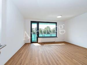 Pronájem bytu 1+kk, Praha - Žižkov, Olgy Havlové, 34 m2