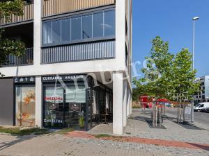 Pronájem bytu 1+kk, Praha - Žižkov, Olgy Havlové, 34 m2