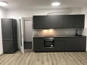 Pronájem bytu 1+kk, Praha - Žižkov, Olgy Havlové, 34 m2