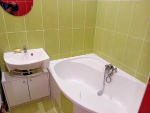 Pronájem bytu 1+1, Frýdlant, Bělíkova, 37 m2