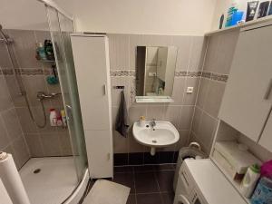 Pronájem bytu 2+kk, Praha, U pramene, 50 m2