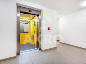 Pronájem garážového stání, Praha - Libeň, U Slovanky, 15 m2