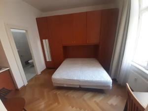 Pronájem bytu 1+kk, Praha - Staré Město, Masná, 19 m2