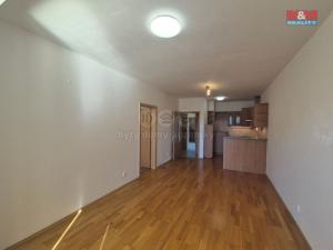 Prodej bytu 2+kk, Beroun - Beroun-Město, Nad Paloučkem, 48 m2