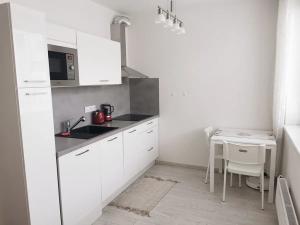 Pronájem bytu 1+kk, Brno, Nad Přehradou, 24 m2