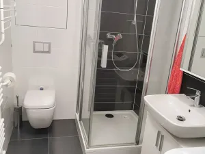 Pronájem bytu 1+kk, Brno, Nad Přehradou, 24 m2