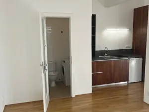 Pronájem bytu 2+kk, Praha - Vinohrady, Budečská, 45 m2