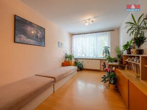 Prodej bytu 3+1, Týnec nad Sázavou, Družstevní, 68 m2