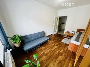 Pronájem bytu 2+kk, České Budějovice, Riegrova, 46 m2
