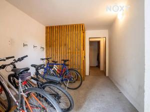 Pronájem bytu 2+kk, České Budějovice, Riegrova, 46 m2