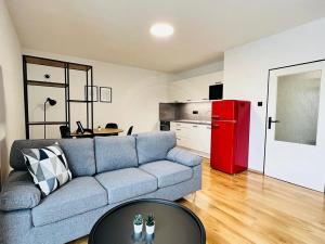 Pronájem bytu 2+kk, České Budějovice, Riegrova, 50 m2