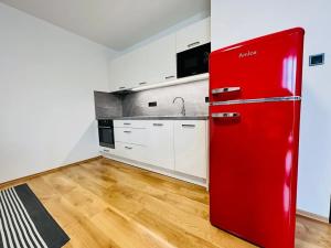 Pronájem bytu 2+kk, České Budějovice, Riegrova, 50 m2