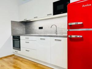 Pronájem bytu 2+kk, České Budějovice, Riegrova, 50 m2