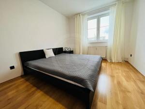 Pronájem bytu 2+kk, České Budějovice, Riegrova, 50 m2