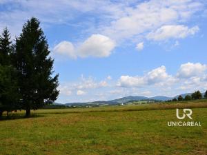 Prodej chaty, Červená Voda - Dolní Orlice, 202 m2