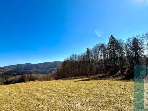 Prodej chaty, Držková, 34 m2