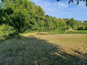 Prodej zahrady, Bařice-Velké Těšany, 1544 m2