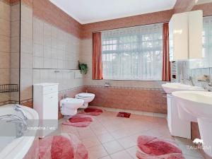 Prodej vily, Skalná, Za Školou, 341 m2