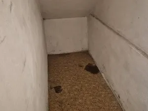 Prodej bytu 2+1, Chlumec, Krokova, 61 m2