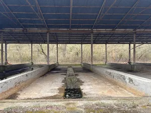Prodej komerčního pozemku, Losiná, 6796 m2