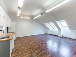 Pronájem bytu 2+kk, Praha - Vinohrady, Dykova, 72 m2