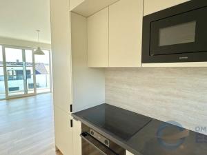 Pronájem bytu 2+kk, Otice, Rybníčky, 43 m2