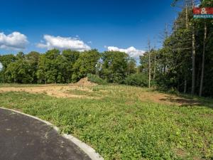 Prodej pozemku pro bydlení, Niměřice - Horní Cetno, 1265 m2