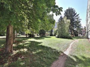 Pronájem bytu 1+1, Chomutov, Blatenská, 35 m2