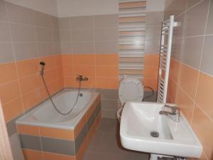 Pronájem bytu 1+kk, Jablonec nad Nisou, Nad Střelnicí, 20 m2