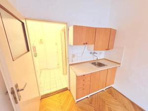 Pronájem bytu 1+kk, Praha - Holešovice, Schnirchova, 20 m2