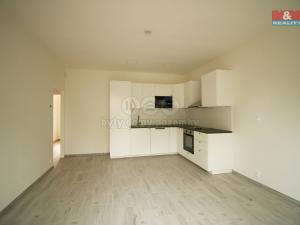 Pronájem rodinného domu, Oleška, 62 m2