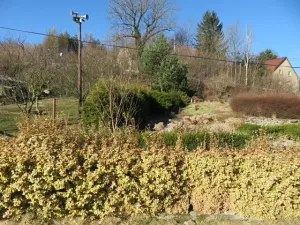 Dražba rodinného domu, Čistá, 171 m2