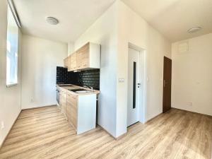 Pronájem bytu 1+kk, Liberec, Vrabčí, 33 m2