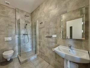 Pronájem bytu 1+kk, Liberec, Vrabčí, 33 m2