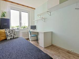 Prodej bytu 3+1, Brno, Spodní, 71 m2