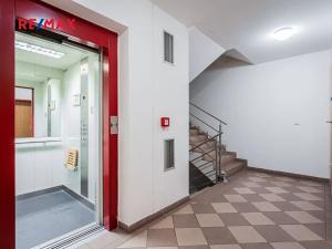 Pronájem bytu 1+kk, Praha - Žižkov, Husitská, 41 m2
