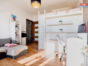 Prodej bytu 2+1, Chomutov, Skalková, 51 m2