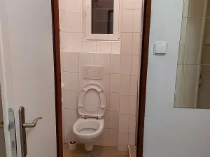 Pronájem bytu 1+1, Praha - Břevnov, Nad Závěrkou, 38 m2