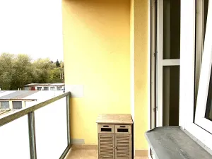 Pronájem bytu 2+kk, Libčice nad Vltavou, Družstevní, 44 m2