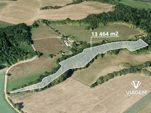 Prodej lesa, Nižbor, 13464 m2