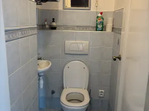 Pronájem bytu 4+1, Brno, Vinařská, 125 m2